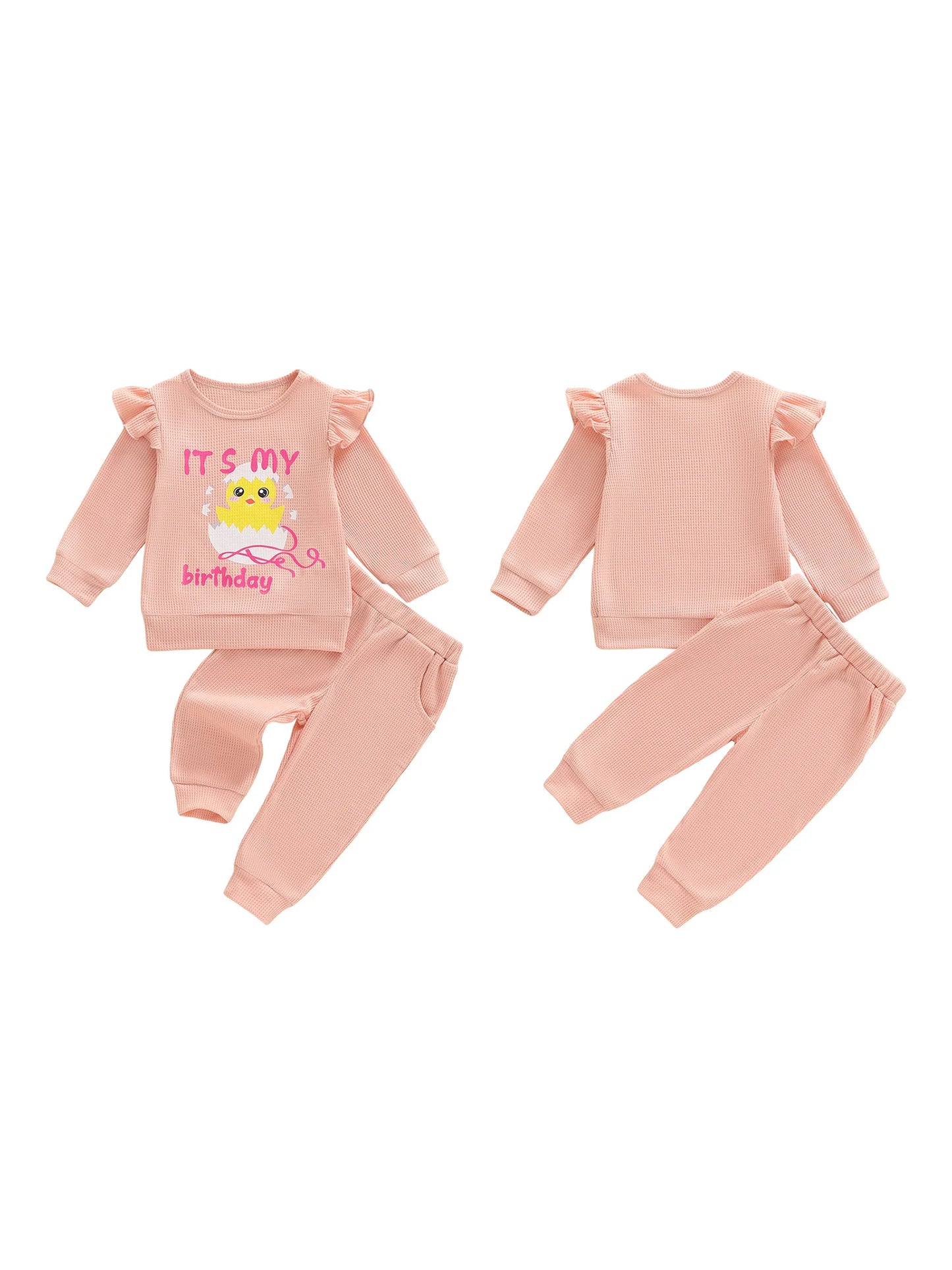 Toddler Birthday 2 Piece Clothing Set with Cute Animal Print Long Sleeve Top and Elastic Waist Pants - Adorable Matching Outfit