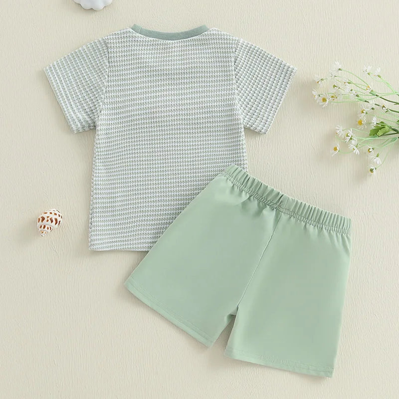 2024-12-17Lioraitiin Toddler Baby Boy Shorts Set Fish/Duck Embroidery Short Sleeve T-shirt Solid/Plaid Shorts 2 Piece Summer Set