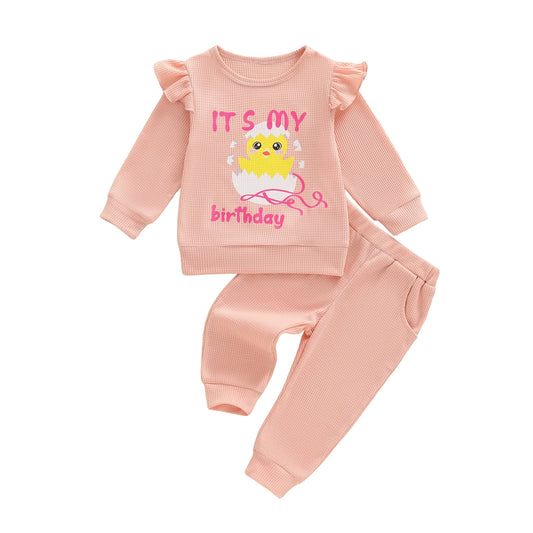 Toddler Birthday 2 Piece Clothing Set with Cute Animal Print Long Sleeve Top and Elastic Waist Pants - Adorable Matching Outfit
